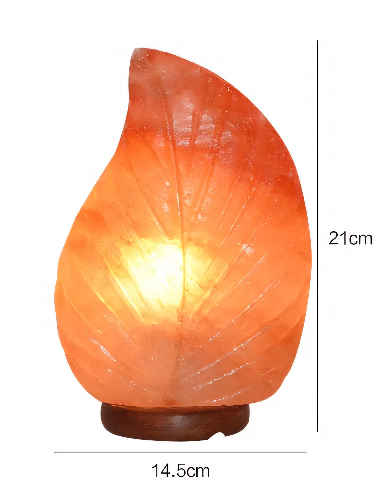 Leaf Salt Lamp